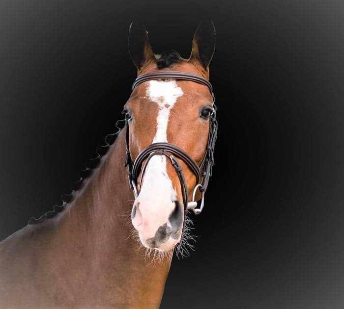 Media 1 av Casalavda PS