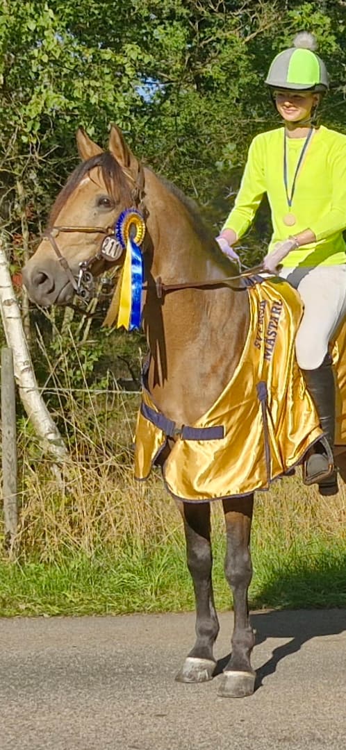 Bild av Fantastisk fälttävlansponny