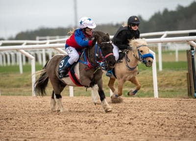 Ponnygalopp 