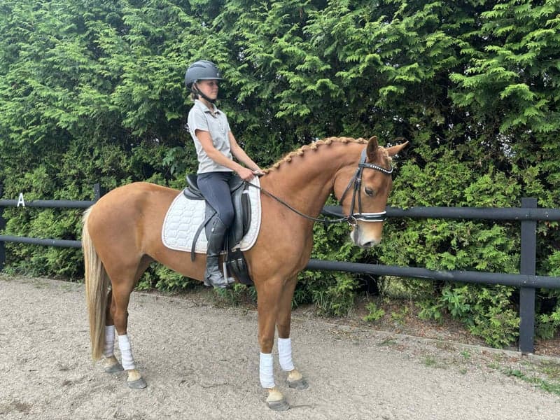 Bild 2 av Skorpan Lejonhjärta