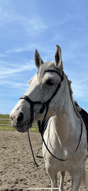Profile picture of Olivia W.