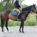 Profile picture of Verdandi