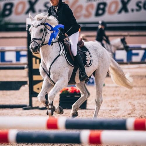 Profile picture of Ishani Berglind