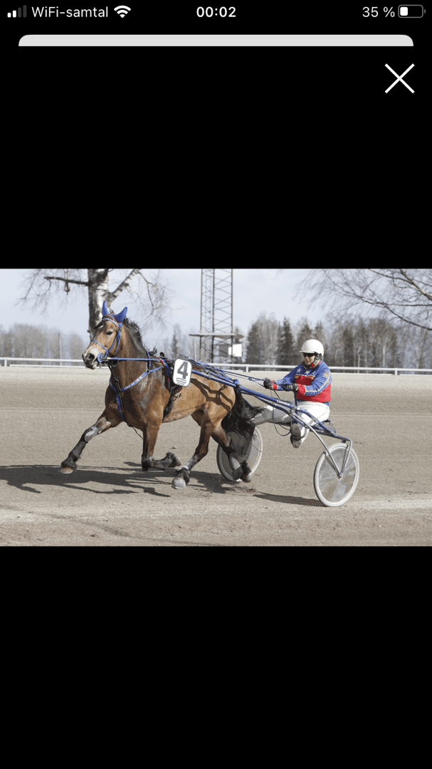 Bild 1 av Mitt Hjärtas Flora