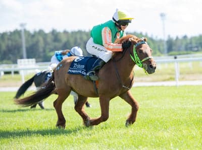 Inlägg 72 av Galopp med titeln Amarant Filur - Julie Laurent