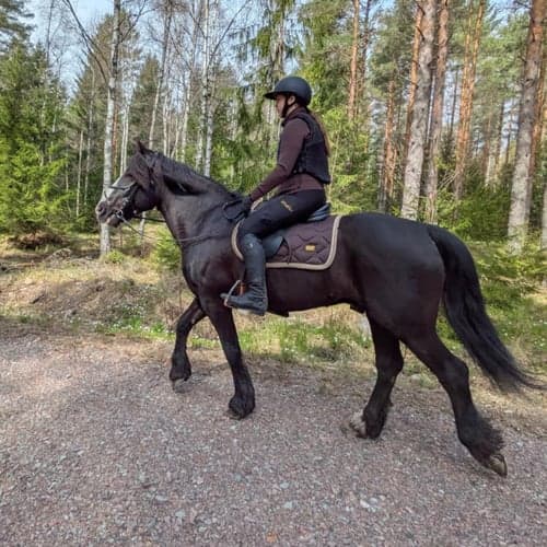 Profilbild av Emilia Janervärn