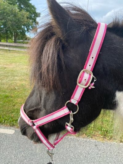 Kápa frá leirubakka