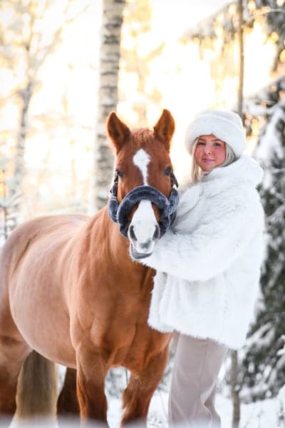 Post 5 of German Riding Pony with title Stinefine✨