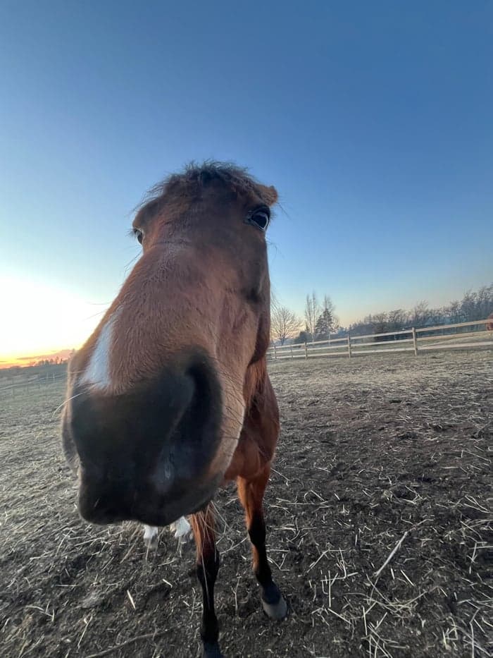 Media 4 av Tout la Face