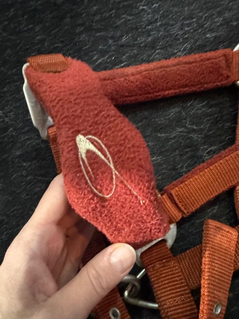 Bild 2 av Röd grimma från Lamicell 