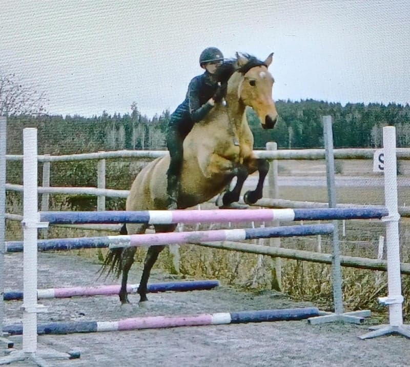 Bild 4 av Castletown Darcey