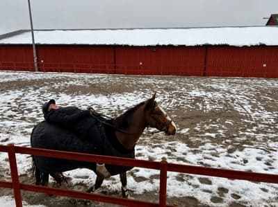 Inlägg 15 av Allround med titeln 😍