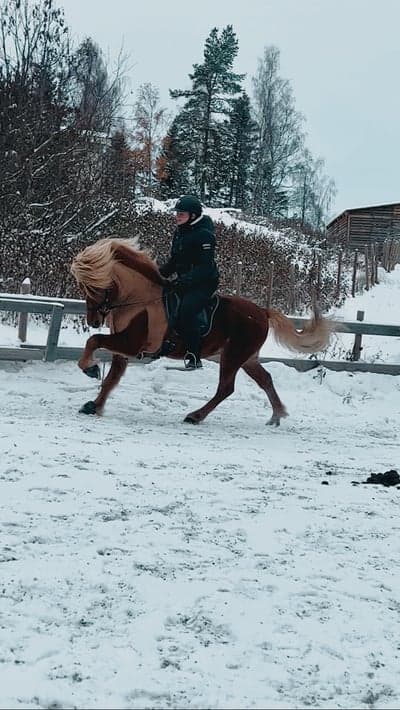 Inlägg 20 av Island med titeln ❄️⛄️