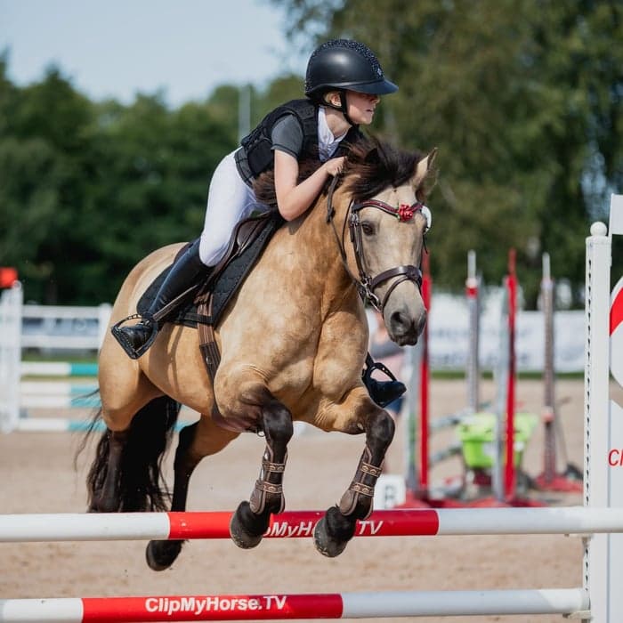 Media 1 av Corker Primrose