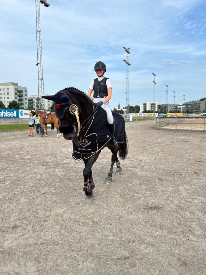 Media 1 av High Five P (SWB)