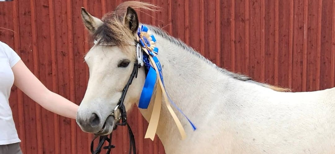 Bild 1 av Säbys Elita