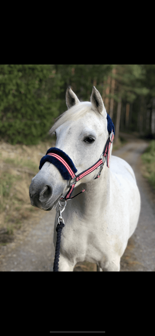 Media 1 av Vanilla Cristal