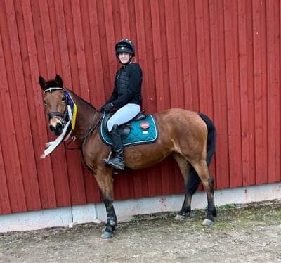 Inlägg 326 av Hoppning med titeln HalloweenHoppet Åmål😍