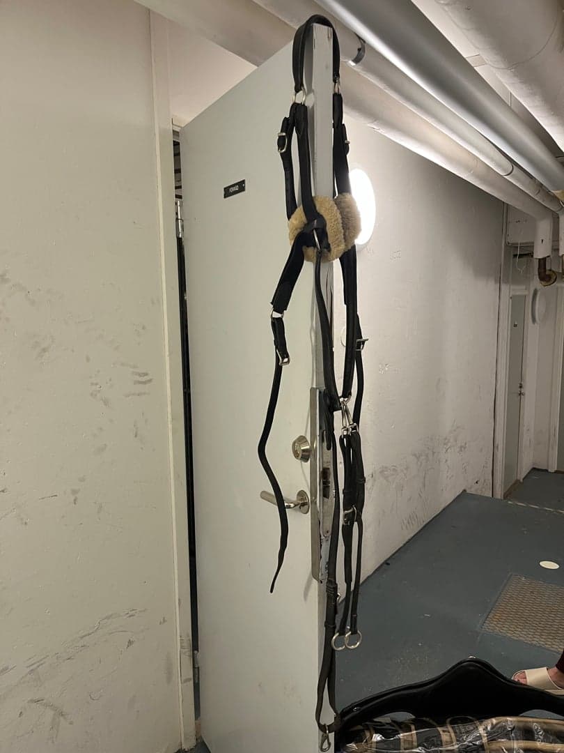 Bild 1 av Martingale hööks 