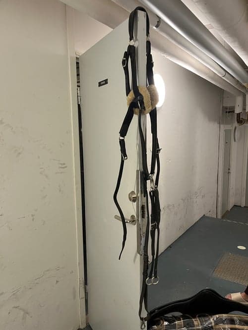 Bild av Martingale hööks 