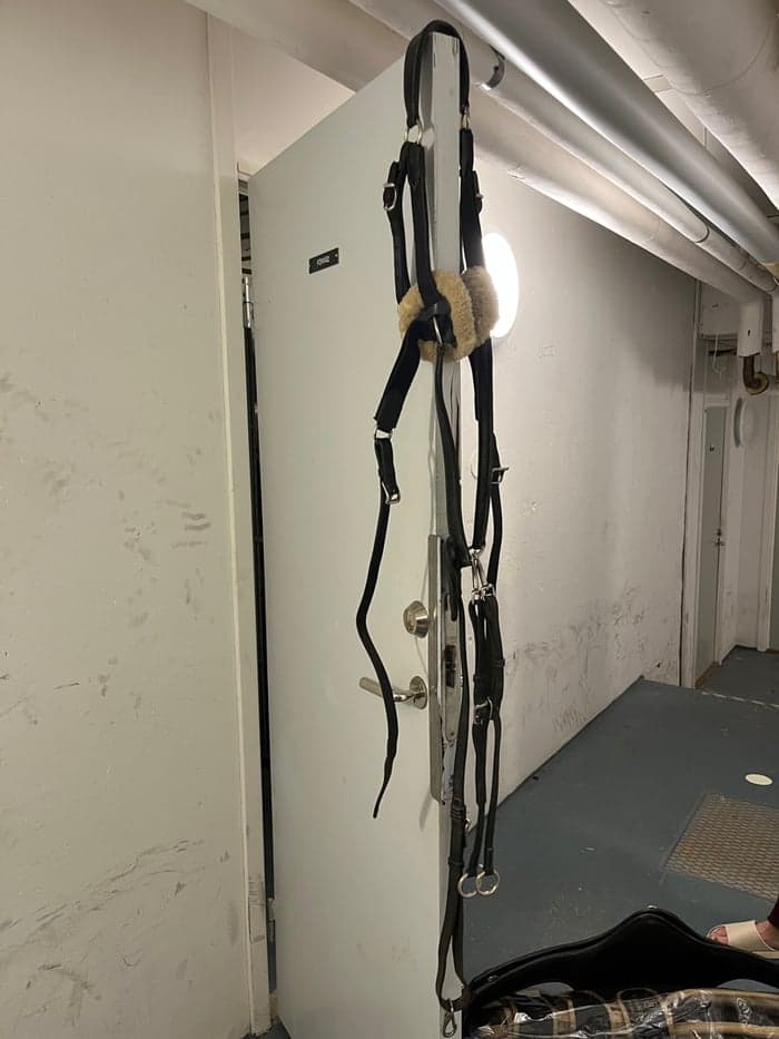 Media 1 av Martingale hööks 