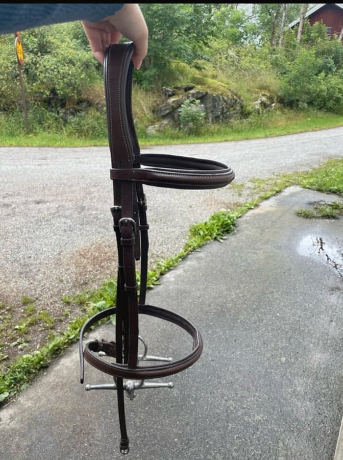 Media 3 of Brunt träns