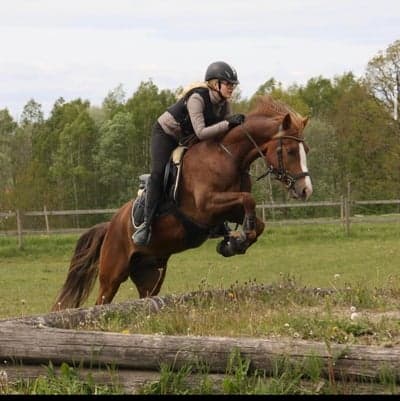 Inlägg 34 av Fälttävlan med titeln Pay and jump på gräsbanan 