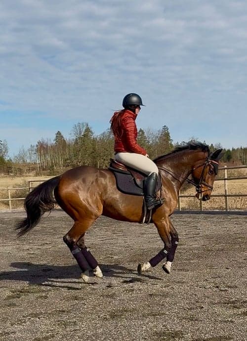 Bild av En pigg tjej med mkt blod som älskar att jobba