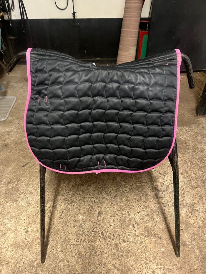 Media 3 of Rosa schabrak