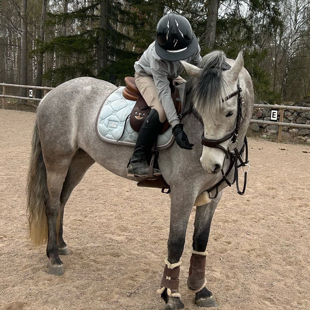 Bild 1 av Derrylough Breeze