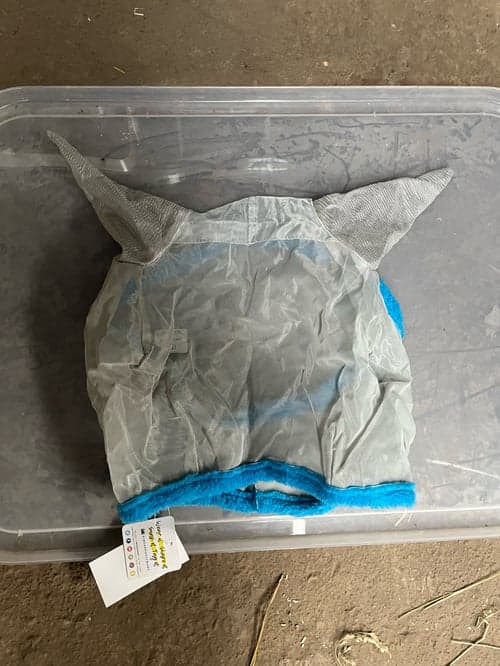 Bild av Blå flughuva