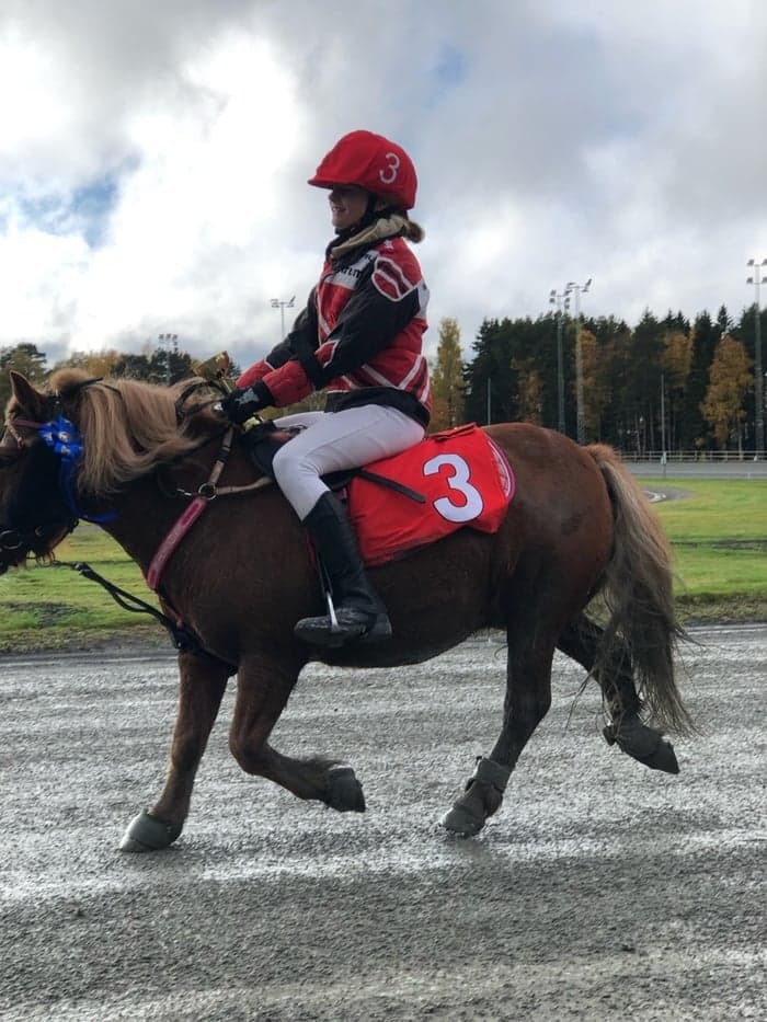 Media 1 av Skräddarliens avalon