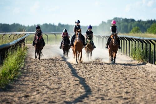 Testa träna galopp med din ponny på Bro Park