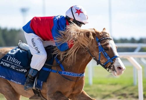 Träning och tävling ponnygalopp