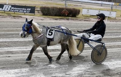Inlägg 4 av Trav med titeln Ponnytrav 