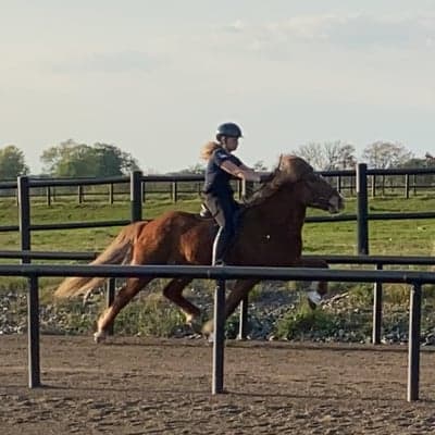 Tími frá Efri-Þverá