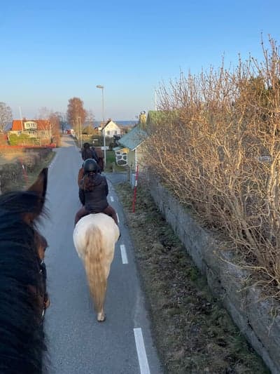 Inlägg 24 av Allround med titeln 🌊