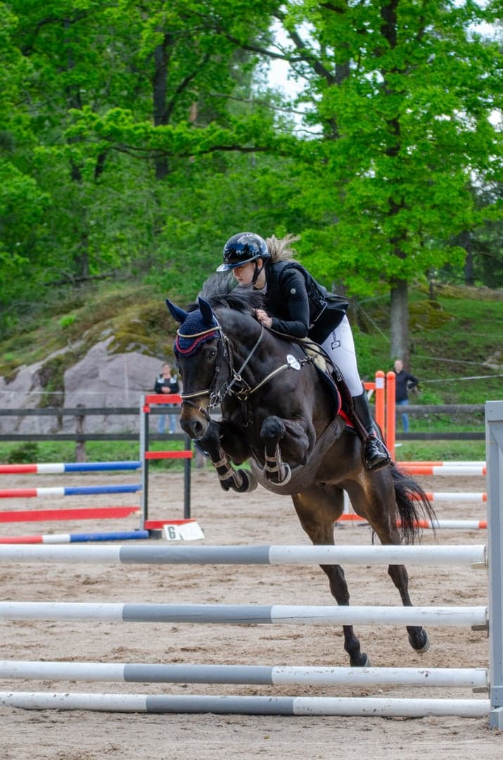 Bild 4 av Premier Royal Sport