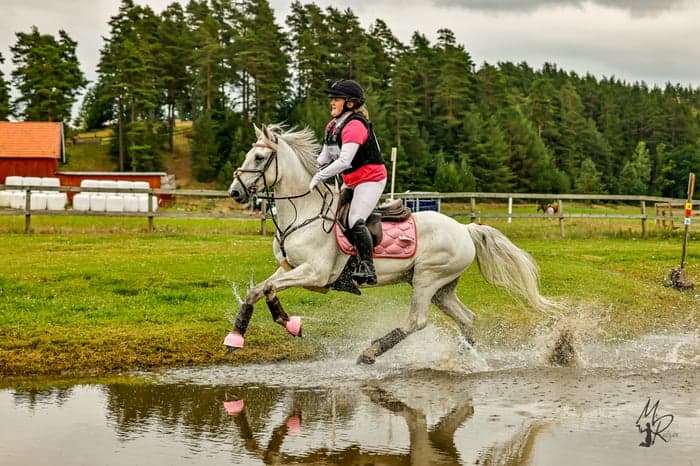 Media 7 of Pollabrandy Prince