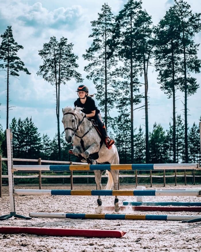 Media 1 of Nutgrove Misty