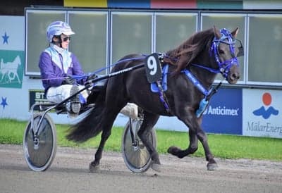 Inlägg 17 av Trav med titeln Örebro 18/9