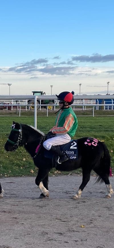 Inlägg 74 av Galopp med titeln Hercules - Signe Brusewitz