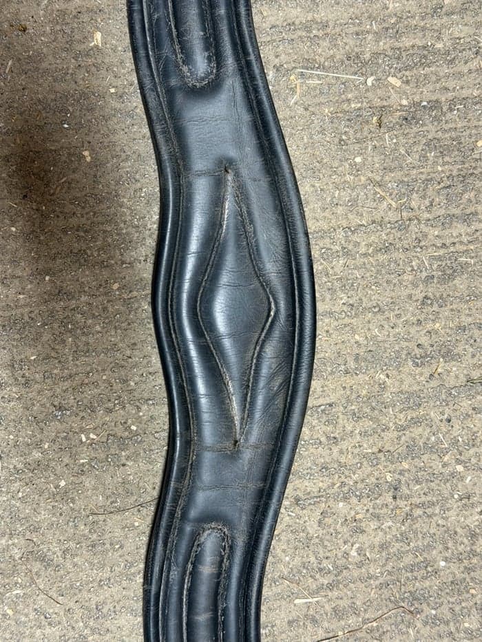 Media 2 of Svart sadelgjord 130