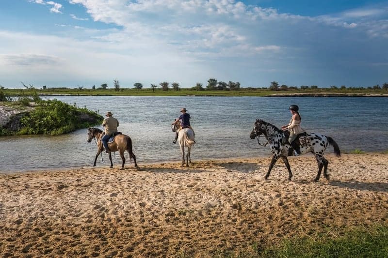 Bild 3 av Ridsafari på öppna slätter i Zambia, 5–8 dagar 