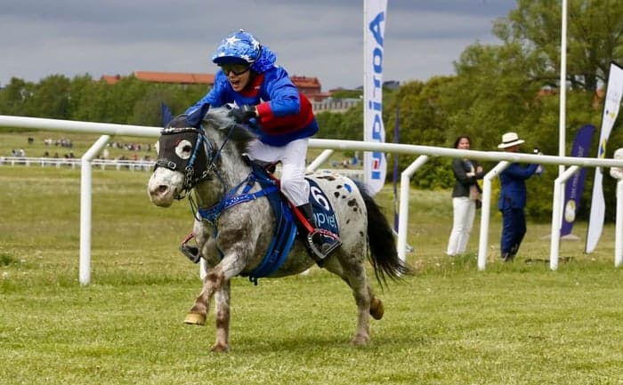 Media 2 av Träning och tävling ponnygalopp