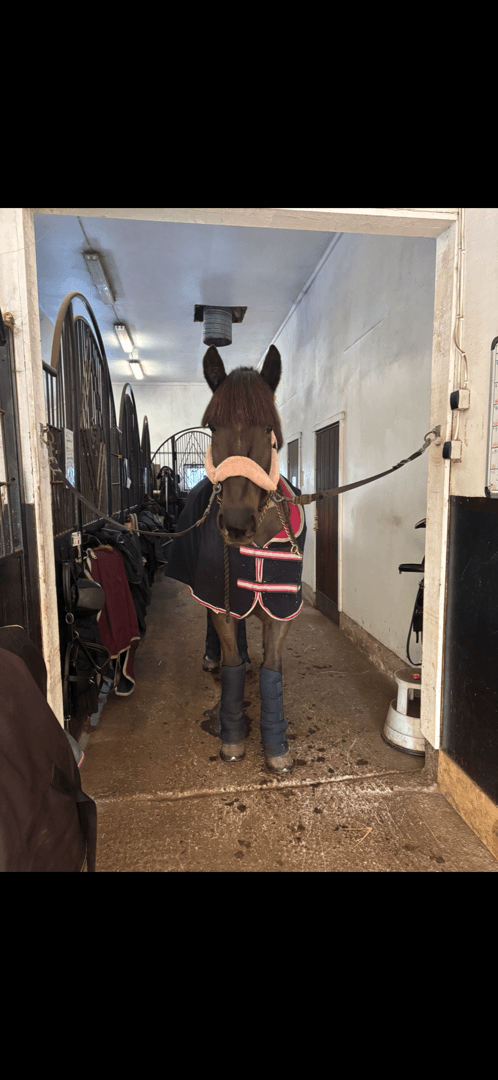 Media 3 av G.G. Utopia