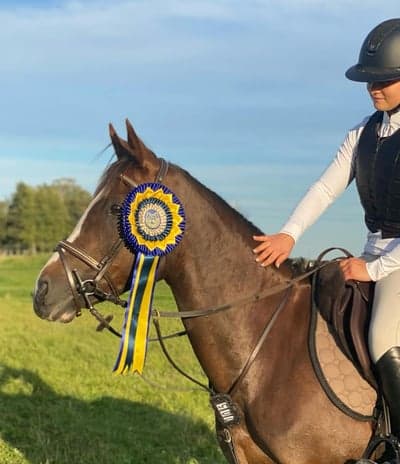 Inlägg 2 av Irländsk Sporthäst