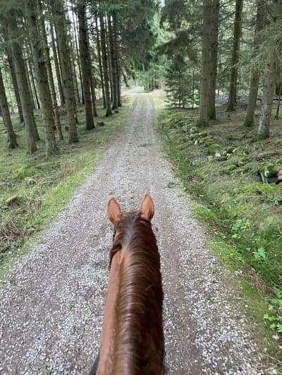 Inlägg 48 av Allround