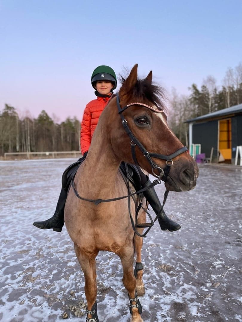 Bild 1 av Hagas Edward Isaich