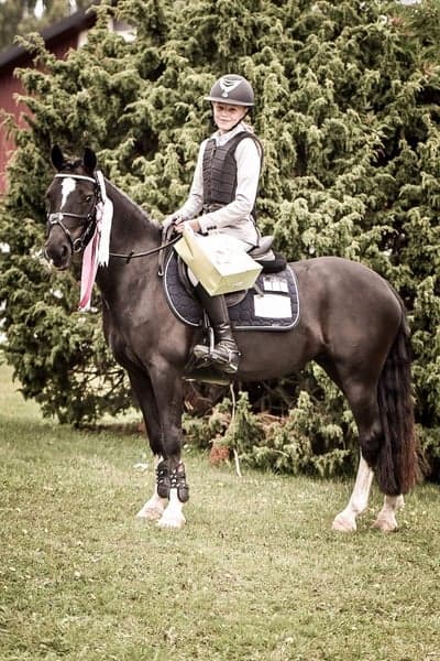 Inlägg 10 av Showridning